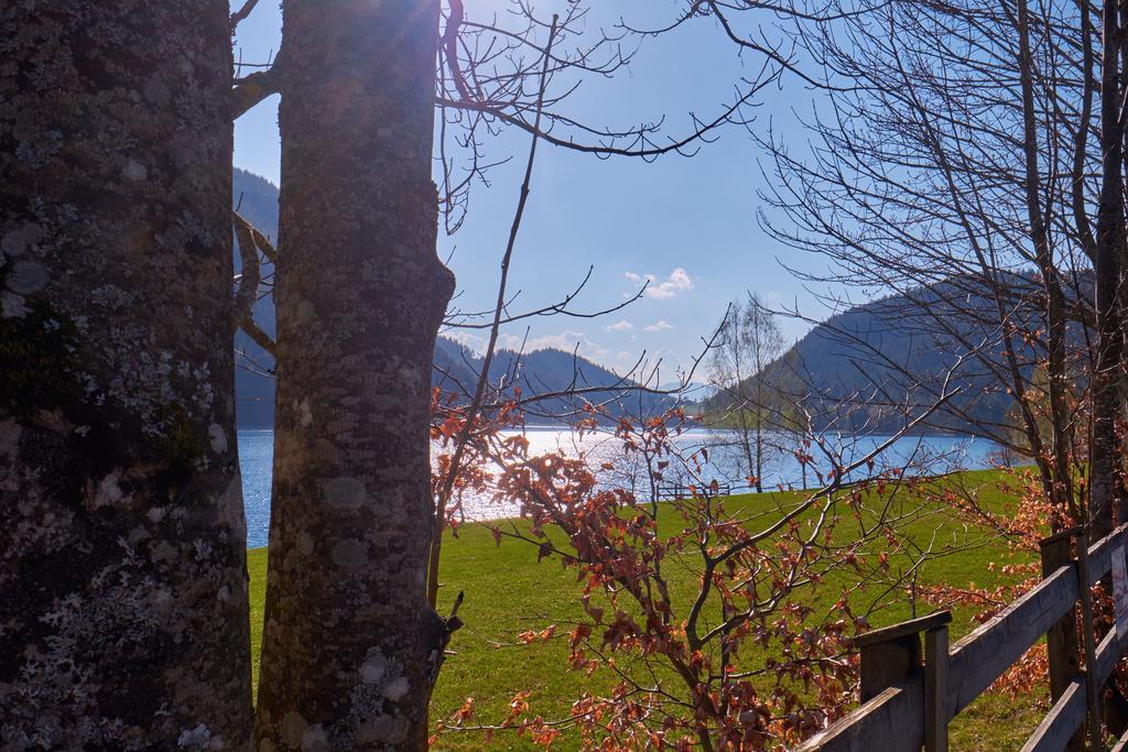 Pension Aloisia Hotel Scheffau am Wilden Kaiser Exterior foto