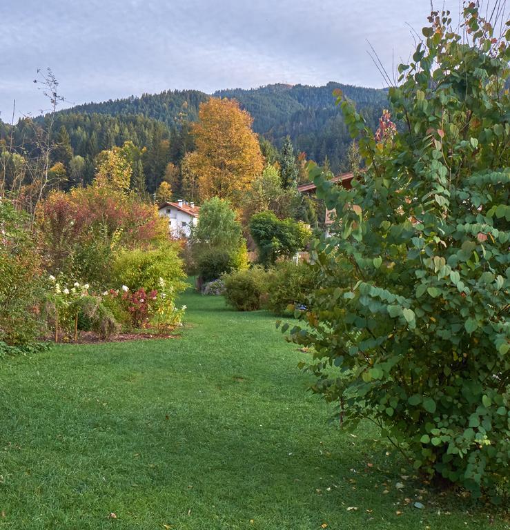 Pension Aloisia Hotel Scheffau am Wilden Kaiser Exterior foto